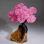 Rose Quartz Clustered Gemstone Tree + Citrine Matrix // The Comfort Tree // 4.1lb