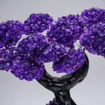 Amethyst Clustered Gemstone Tree + Amethyst Matrix // The Protection Tree // 3.5lb