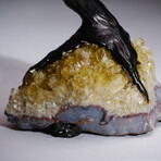 Rose Quartz Clustered Gemstone Tree + Citrine Matrix // The Comfort Tree // 3.7lb