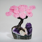 Rose Quartz Clustered Gemstone Tree + Amethyst Matrix // The Love Tree // 4.4lb