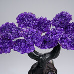 Amethyst Clustered Gemstone Tree + Amethyst Matrix // The Protection Tree // 3lb