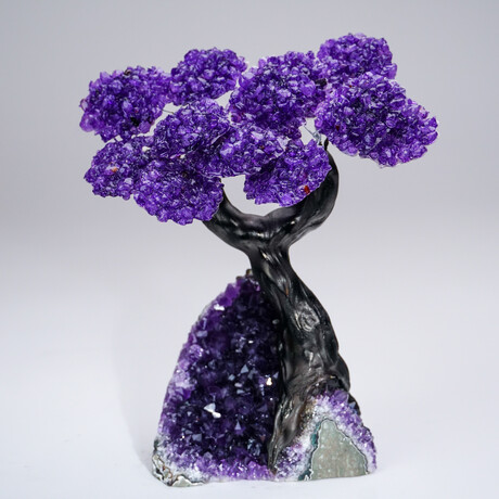 Amethyst Clustered Gemstone Tree + Amethyst Matrix // The Protection Tree // 3.5lb