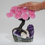 Rose Quartz Clustered Gemstone Tree + Amethyst Matrix // The Love Tree // 4.4lb