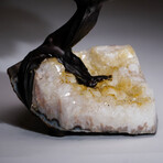 Citrine Clustered Gemstone Tree + Citrine Matrix // The Calming Tree // 5.38lb