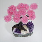 Rose Quartz Clustered Gemstone Tree + Amethyst Matrix // The Love Tree // 4.4lb