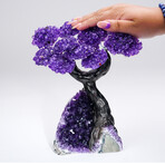 Amethyst Clustered Gemstone Tree + Amethyst Matrix // The Protection Tree // 3.5lb
