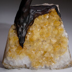 Rose Quartz Clustered Gemstone Tree + Citrine Matrix // The Comfort Tree // 5.7lb