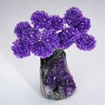 Amethyst Clustered Gemstone Tree + Amethyst Matrix // The Protection Tree // 3lb
