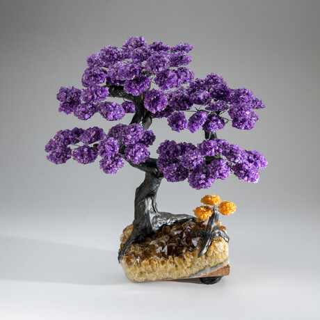 Amethyst Clustered Gemstone Tree + Citrine Matrix // 14.8lb