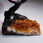Rose Quartz Clustered Gemstone Tree + Citrine Matrix // The Comfort Tree // 3.15lb