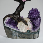 Rose Quartz Clustered Gemstone Tree + Amethyst Matrix // The Love Tree // 4.4lb