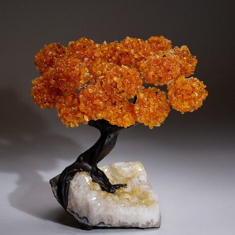 Citrine Clustered Gemstone Tree + Citrine Matrix // The Calming Tree // 5.38lb