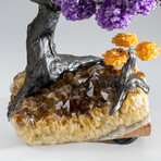 Amethyst Clustered Gemstone Tree + Citrine Matrix // 14.8lb