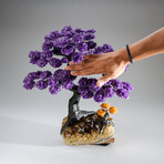 Amethyst Clustered Gemstone Tree + Citrine Matrix // 14.8lb