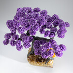 Amethyst Clustered Gemstone Tree + Citrine Matrix // 14.8lb