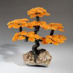 Citrine Clustered Gemstone Tree + Citrine Matrix