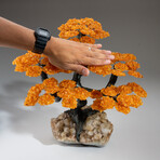 Citrine Clustered Gemstone Tree + Citrine Matrix