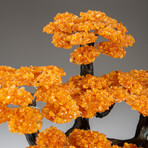 Citrine Clustered Gemstone Tree + Citrine Matrix