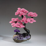 Custom Genuine Rose Quartz Clustered Gemstone Tree on Amethyst matrix // The Love Tree // 15.2lb