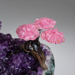Genuine Rose Quartz Clustered Gemstone Tree on Amethyst matrix