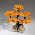 Citrine Clustered Gemstone Tree + Citrine Matrix