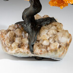 Citrine Clustered Gemstone Tree + Citrine Matrix