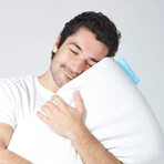 Bio Aloe Memory Foam Pillow (King // Medium)