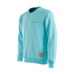 Crewneck Basic Sweatshirt // Mint (M)