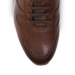 Connor Trainer // Chestnut (US: 9.5)