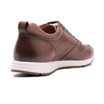 Connor Trainer // Chestnut (US: 9.5)