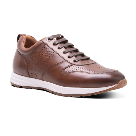 Connor Trainer // Chestnut (US: 7)