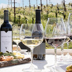 Merryvale 2014 Cabernet Sauvignon St Helena  // Set of 2 // 750 ml Each