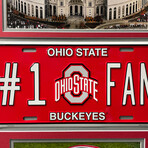 Ohio State Buckeyes // Framed License Plate Collage