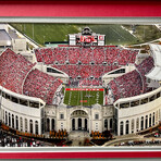 Ohio State Buckeyes // Framed License Plate Collage
