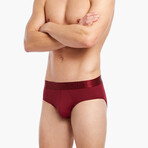 Electric No-Show Brief // Tawny Port (M)