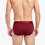 Electric No-Show Brief // Tawny Port (M)