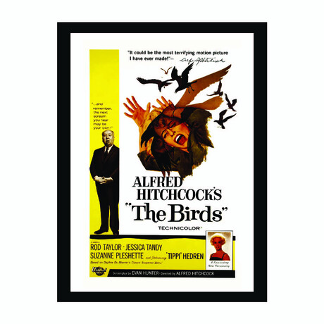 Alfred Hitchcock's "The Birds" Vintage Movie Poster