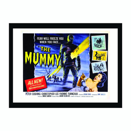 The Mummy Vintage Movie Poster