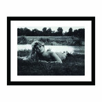 Brigitte Bardot Lying in Grass