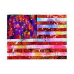 American Flag (15"H x 18"W x 2"D)