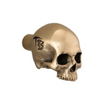 Skull Furniture Knob // Travis Barker // Polished Brass