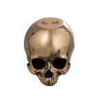 Skull Door Stop // Travis Barker // Polished Brass