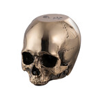 Skull Door Stop // Travis Barker // Polished Brass