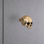 Skull Furniture Knob // Travis Barker // Polished Brass