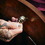 Skull Furniture Knob // Travis Barker // Polished Brass