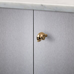 Skull Furniture Knob // Travis Barker // Polished Brass