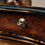 Skull Furniture Knob // Travis Barker // Polished Brass