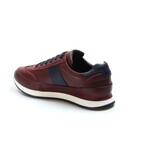 Chris Sneaker // Claret Red (Euro: 40)