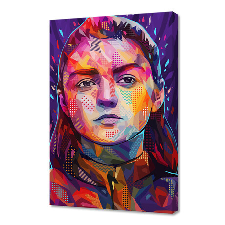 Pop Arya Stark (8"H x 12"W x 0.75"D)