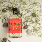 Pumori Small Batch Gin // 2 Bottle Set